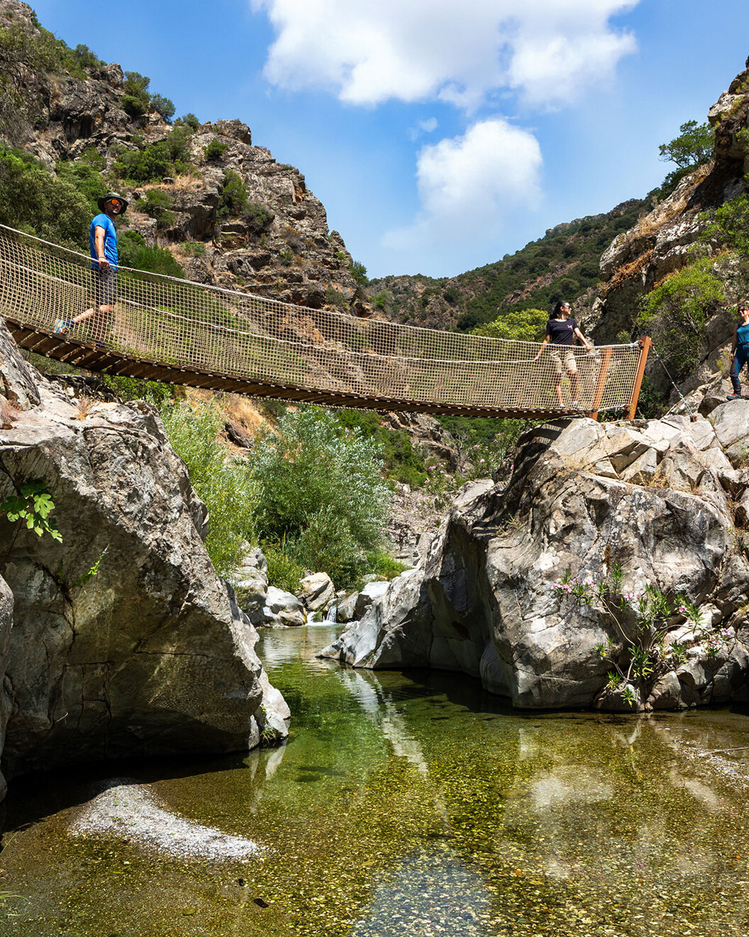 Tibetan bridge