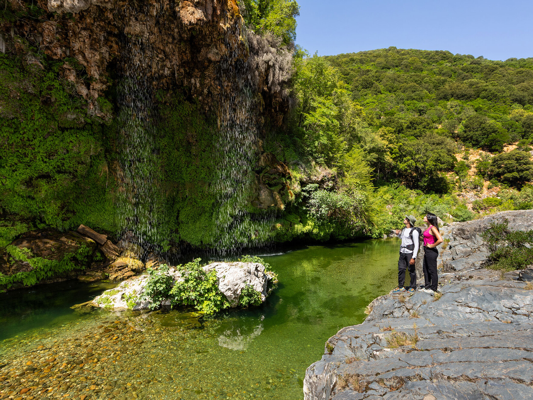 Sa Stiddiosa