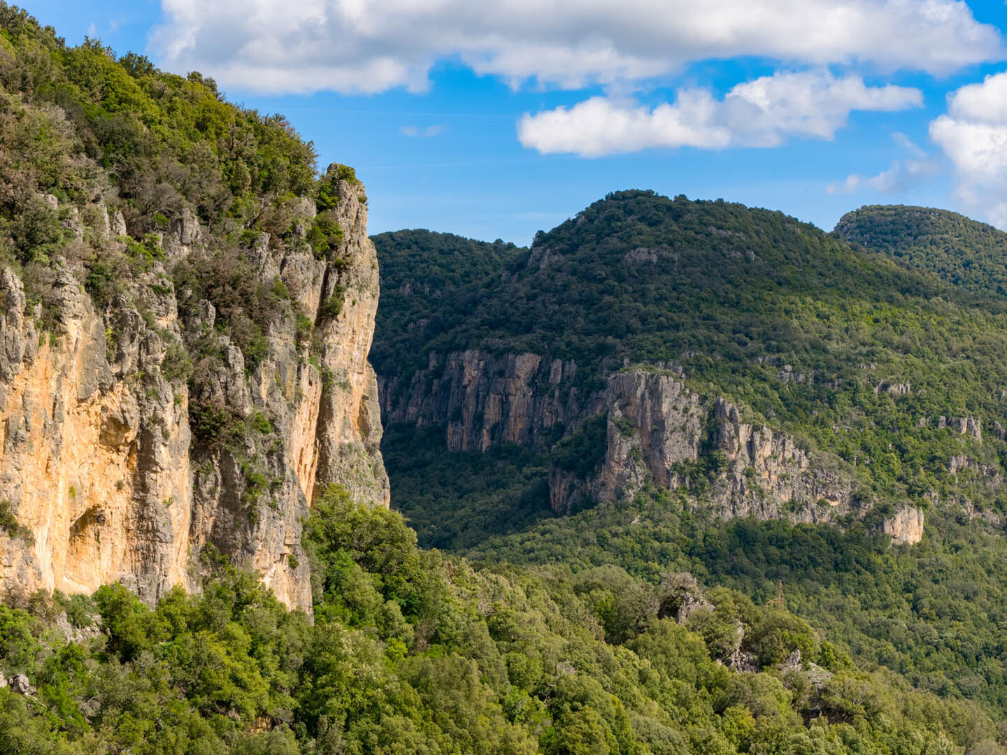 Foresta di Montarbu
