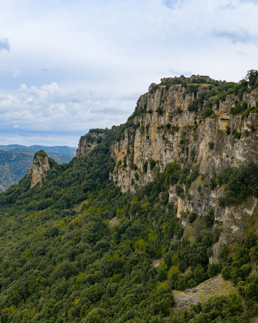 Foresta San Pantaleo