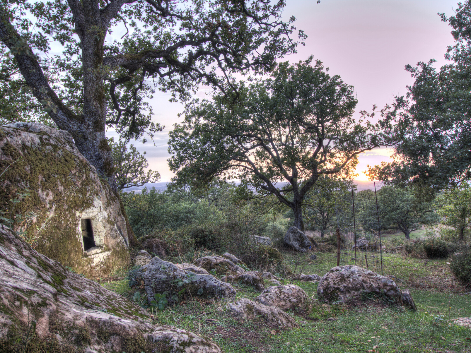 Parco Archeologico Su Motti