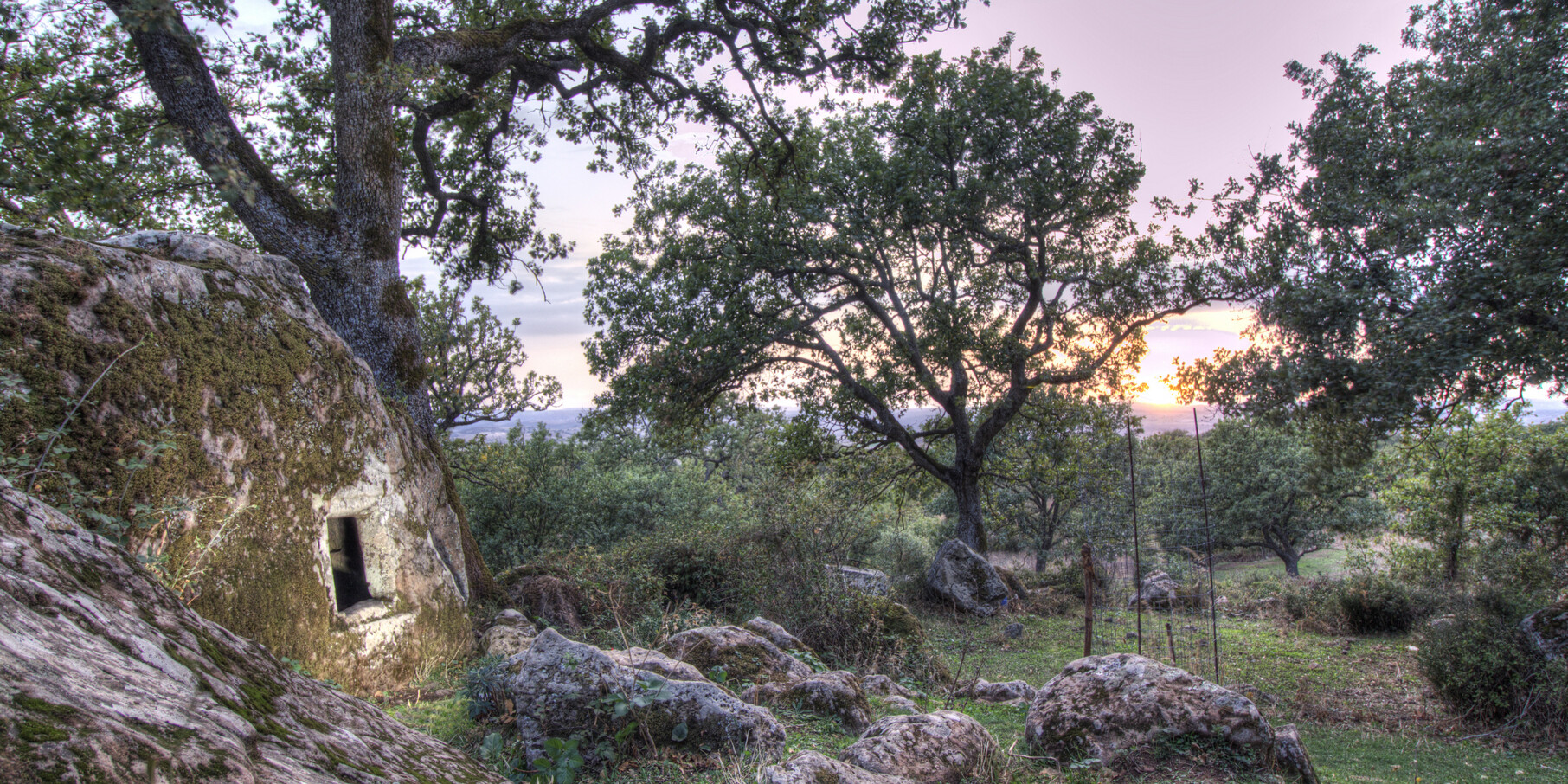 Parco Archeologico Su Motti