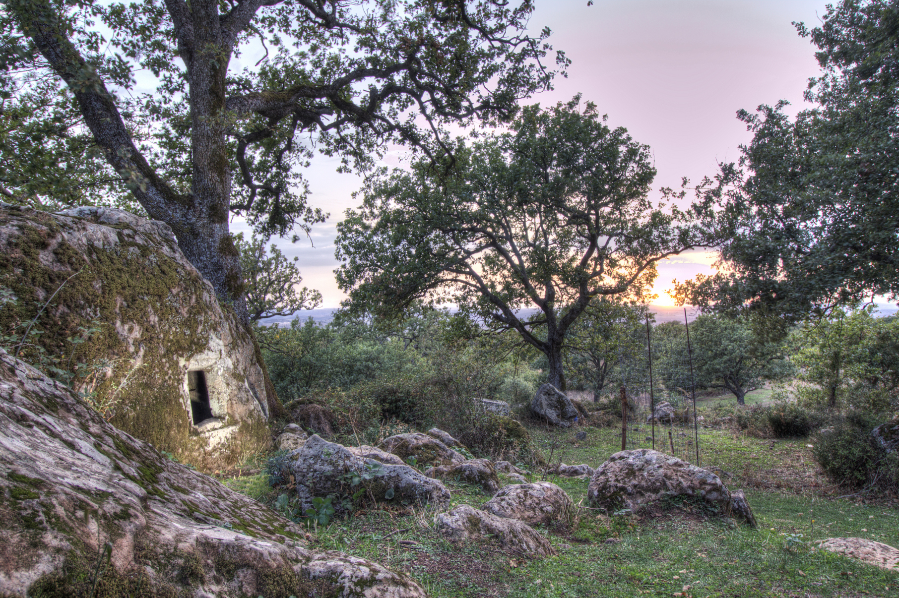 Parco Archeologico Su Motti