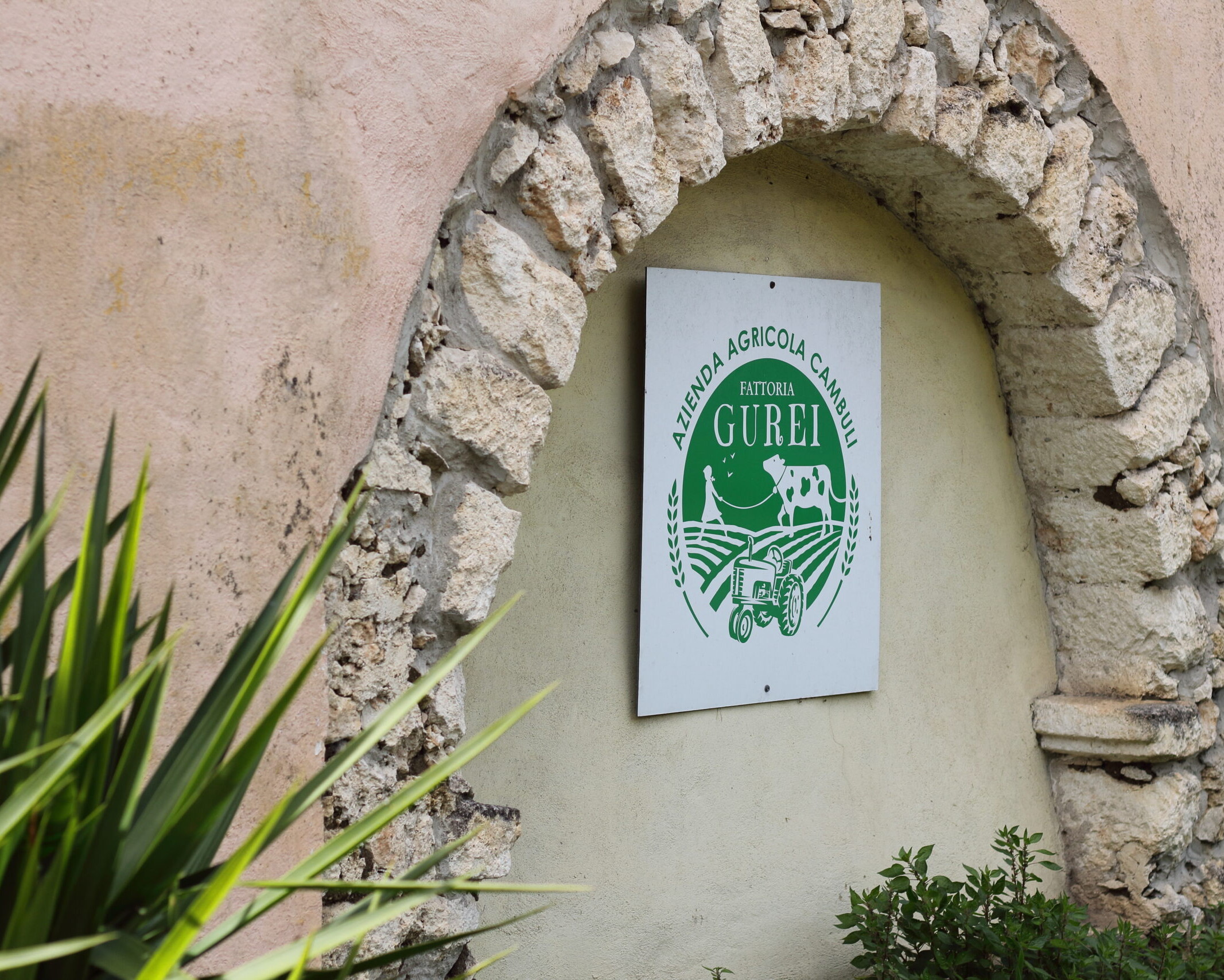 Azienda Agricola Cambuli