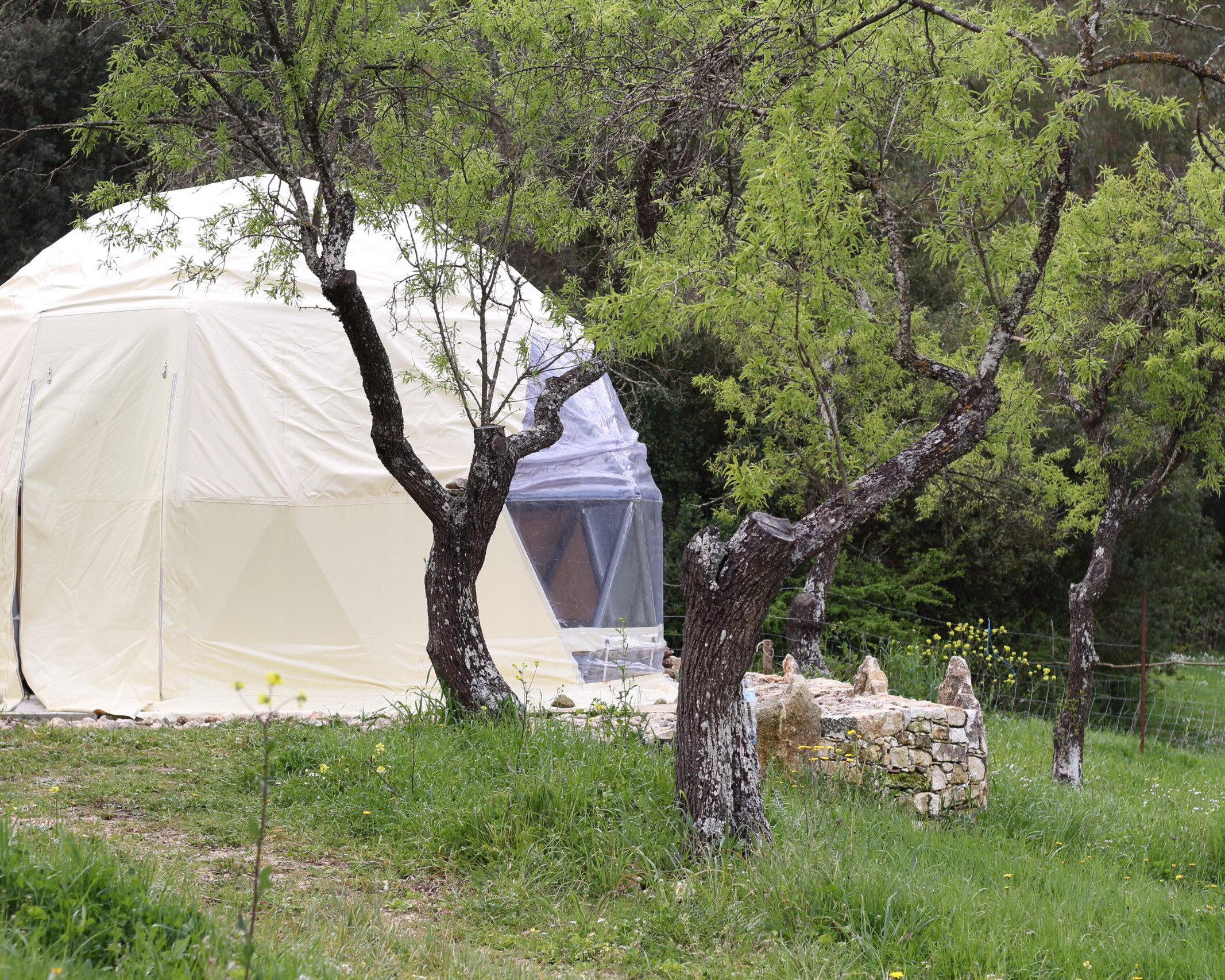 Azienda Agricola Cambuli